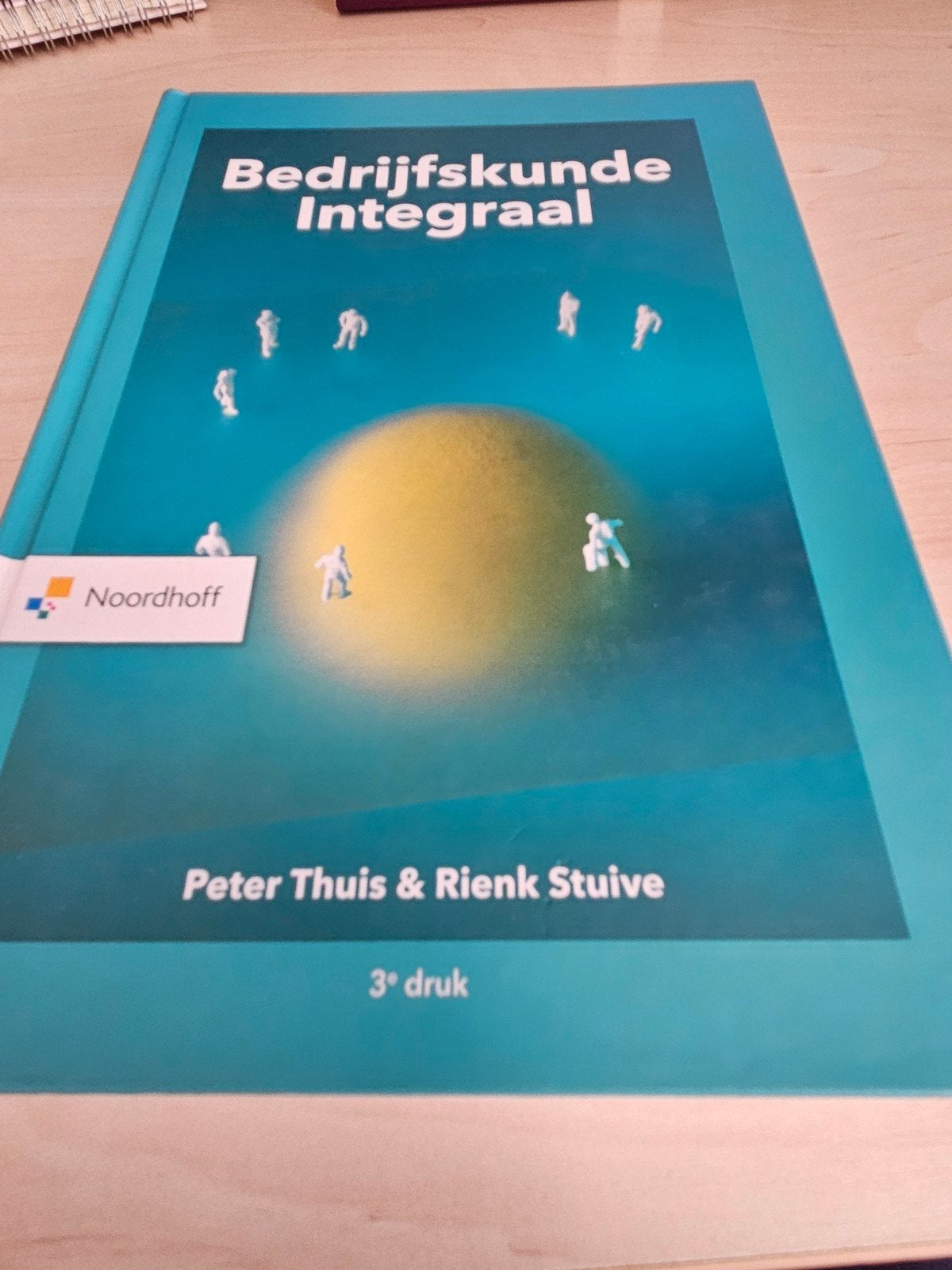 Bedrijfskunde Integraal - Peter Thuis & Rienk Stuive, Peter Thuis & Rienk Stuive, Zo goed als nieuw, Gamma, HBO