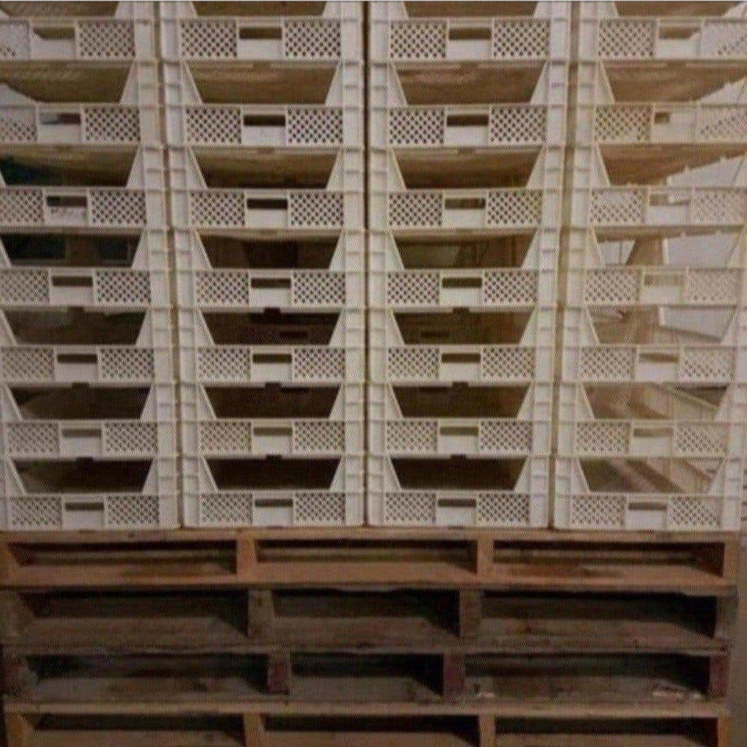 307 kunstof voorkiem kisten / plastic kratten, Ophalen of Verzenden