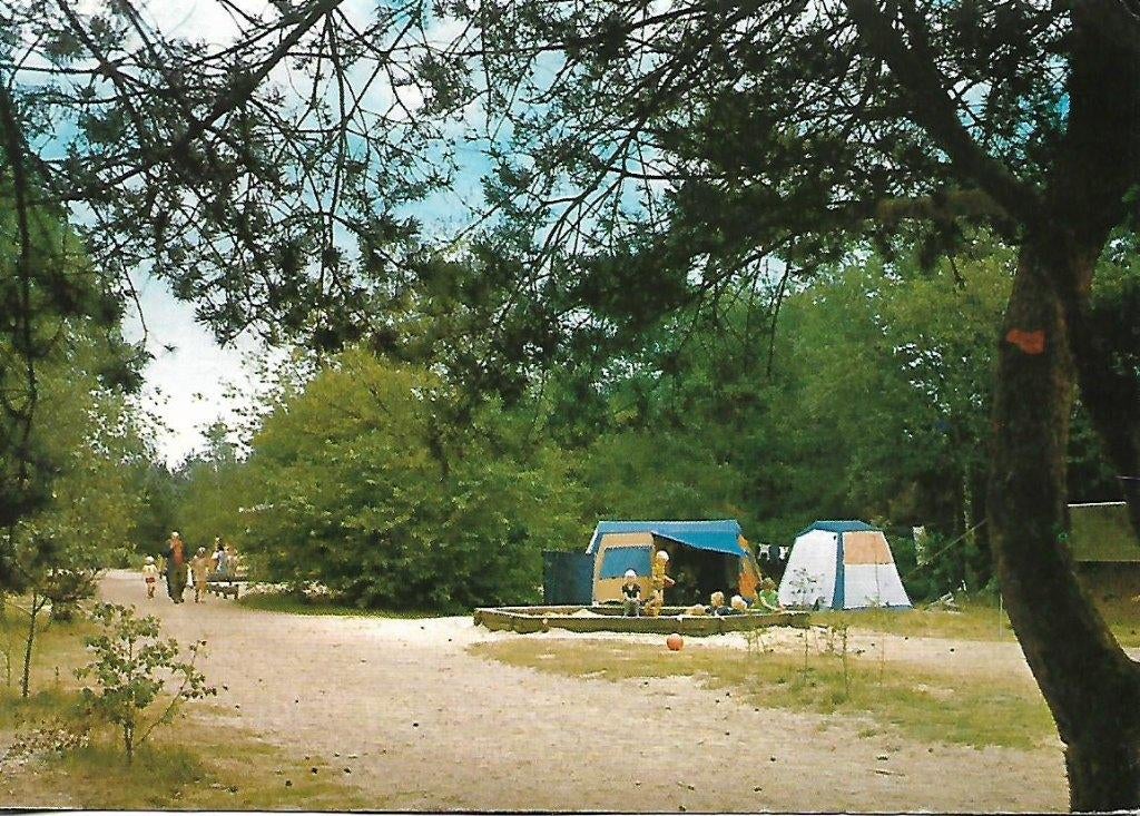 Harskamp- -Camping Harskamperdennen., Verzenden, 1960 tot 1980, Gelopen, Gelderland