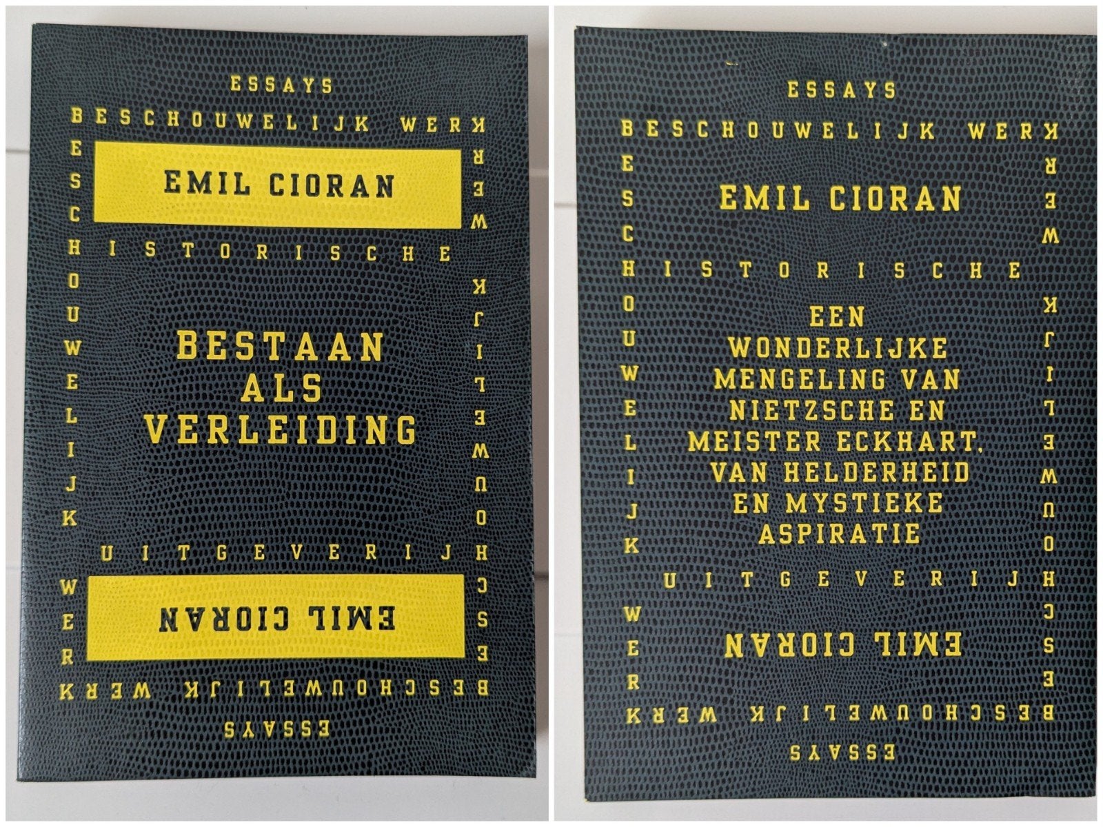 Bestaan als verleiding - Emil Cioran, Ophalen of Verzenden, Zo goed als nieuw, Emil Cioran