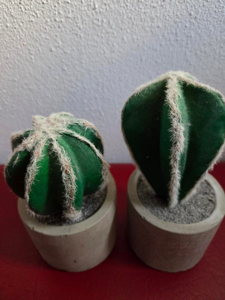 2 nep cactusjes, Huis en Inrichting, Woonaccessoires | Kunstplanten en Kunstbloemen, Ophalen of Verzenden, Zo goed als nieuw