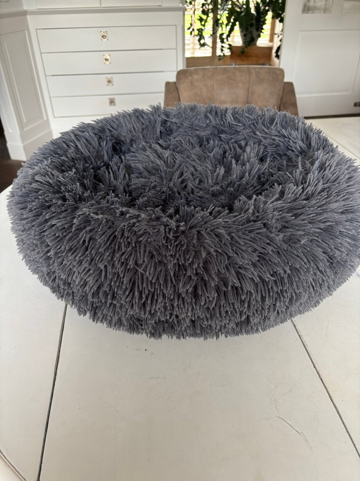 Hondenmand 60 cm, Ophalen, Zo goed als nieuw, Pluche