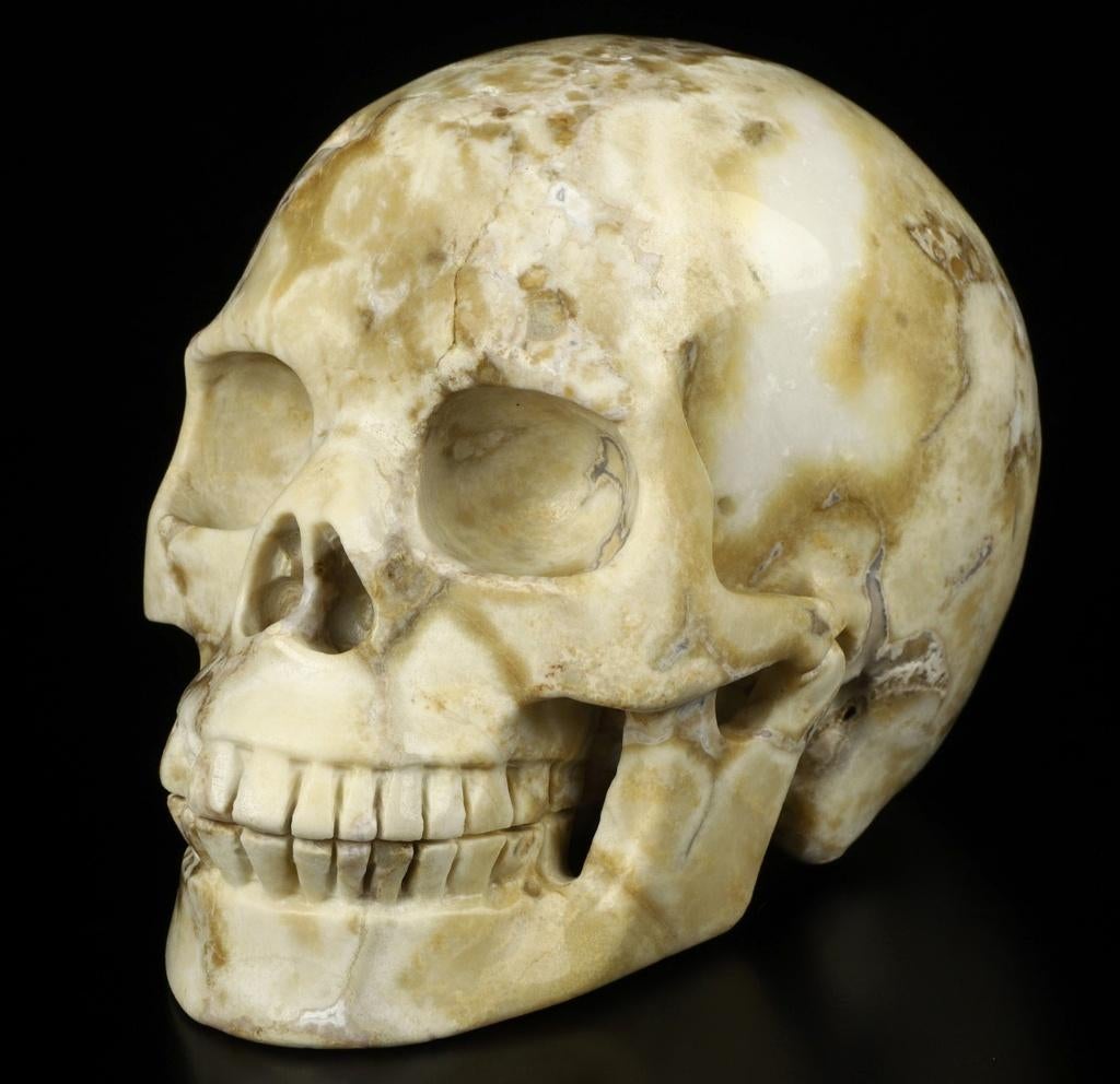 Mineralen schedel /skull, Koraal fossiel. 1380 gram., Ophalen of Verzenden, Fossiel