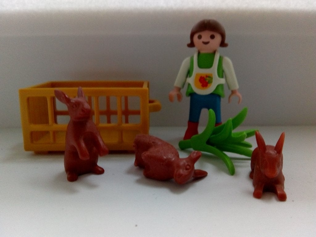Playmobil set 4529 Hazen voeren, Kinderen en Baby's, Ophalen of Verzenden, Gebruikt