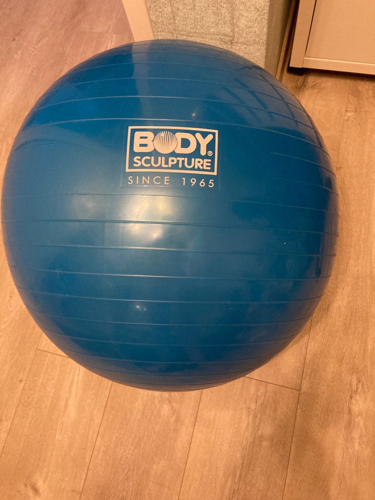 Fitness bal, Ophalen of Verzenden, Zo goed als nieuw
