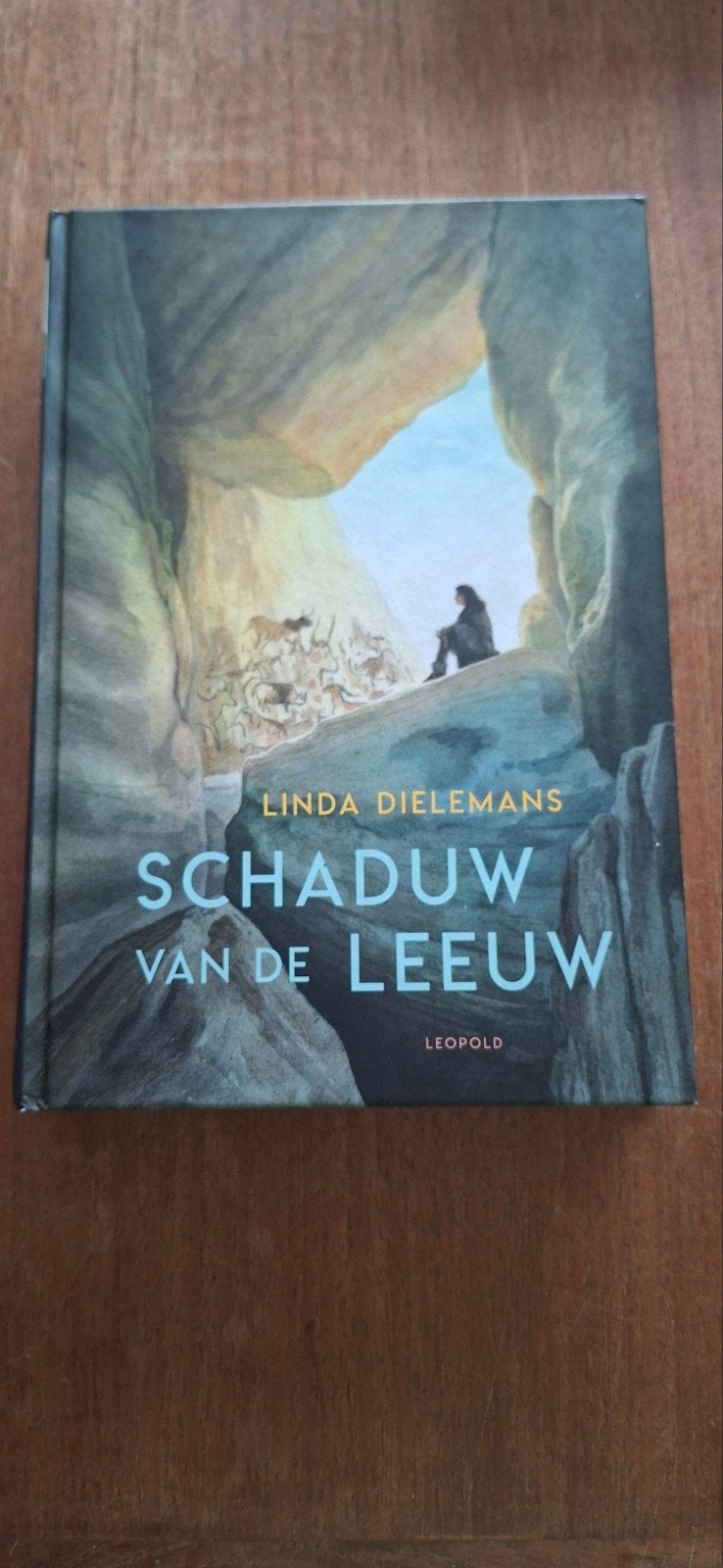 Linda Dielemans - Schaduw van de leeuw, Ophalen of Verzenden, Gelezen, Linda Dielemans