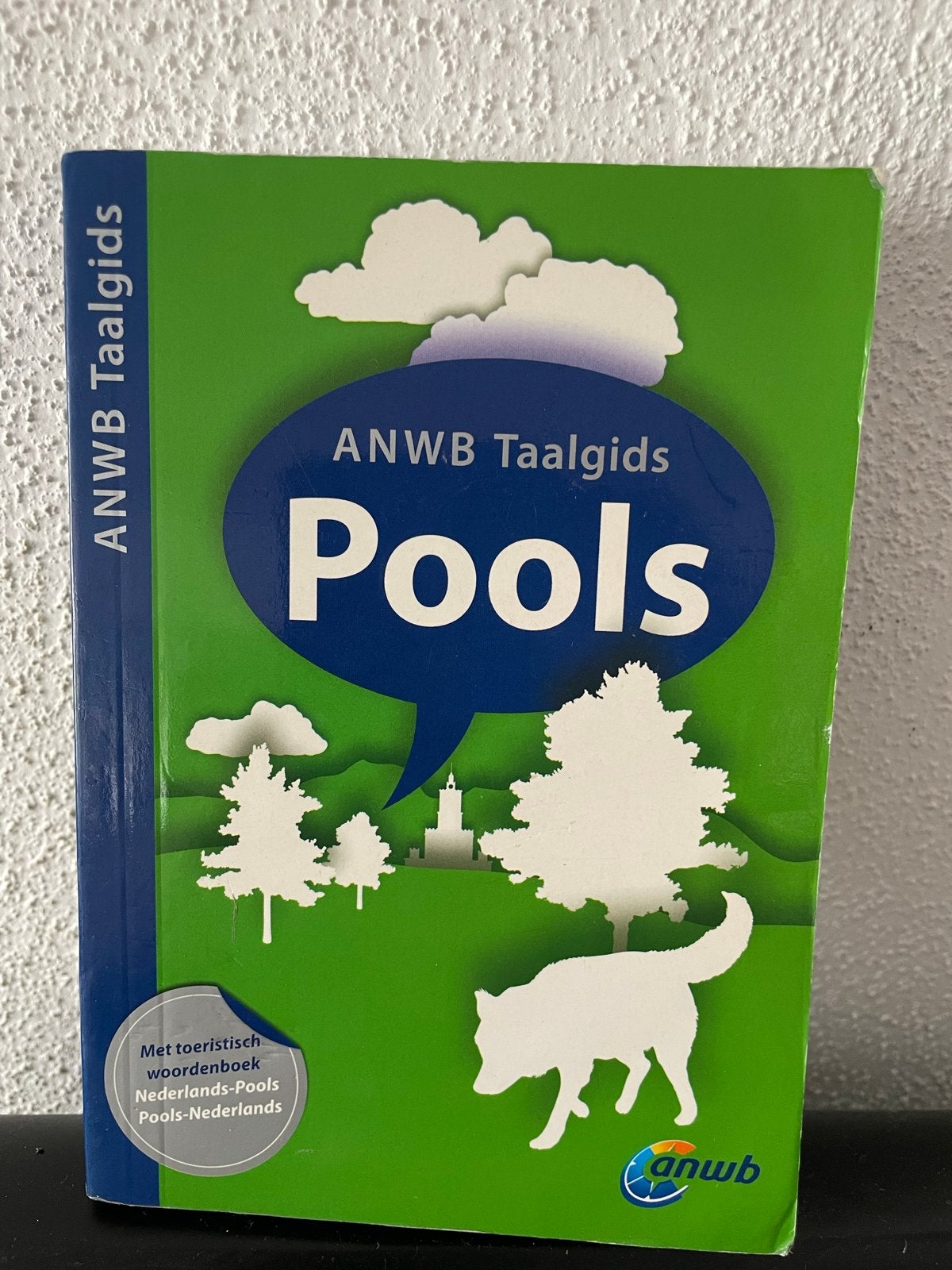 ANWB Taalgids Pools - Pools om mee te beginnen, Ophalen of Verzenden, Zo goed als nieuw, Non-fictie