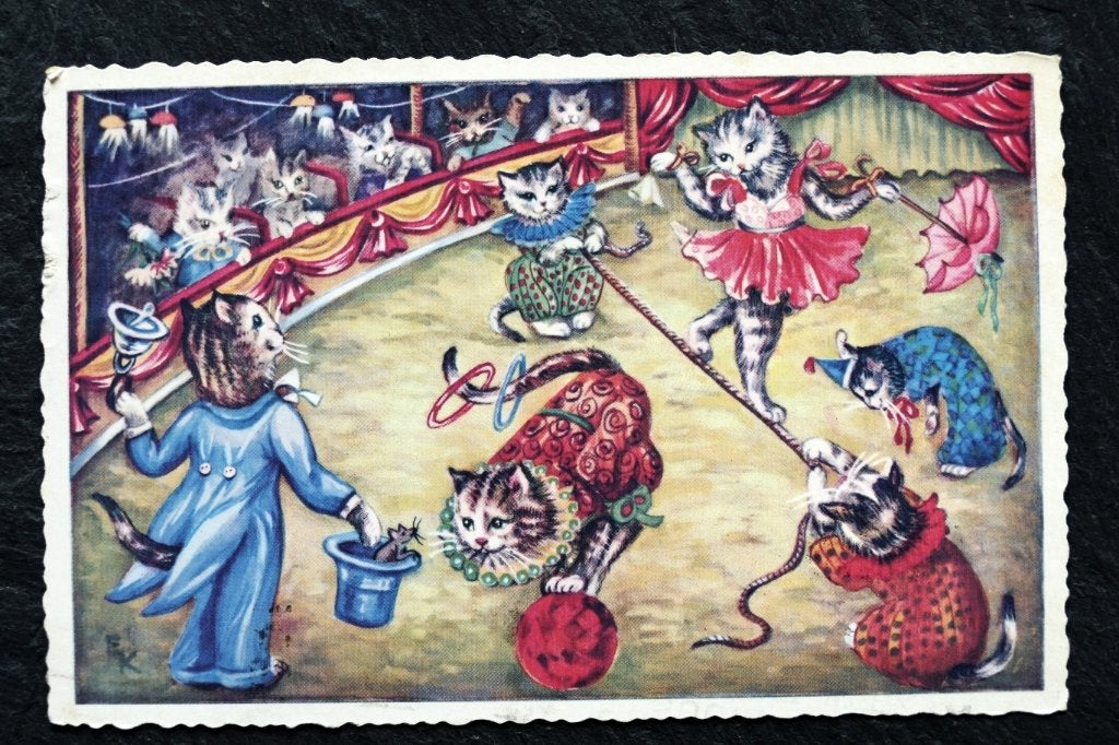 Poezen laten zien wat ze kunnen in het circus, 1957, Verzenden, 1940 tot 1960, Gelopen, Hond of Kat