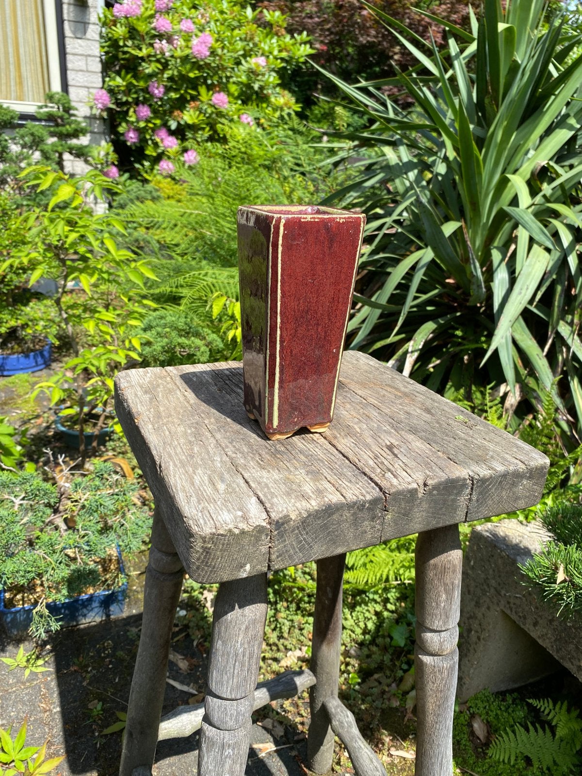 Cascade pot bonsai, Tuin en Terras, Bloempotten, Vierkant, Nieuw, Ophalen of Verzenden, Aardewerk