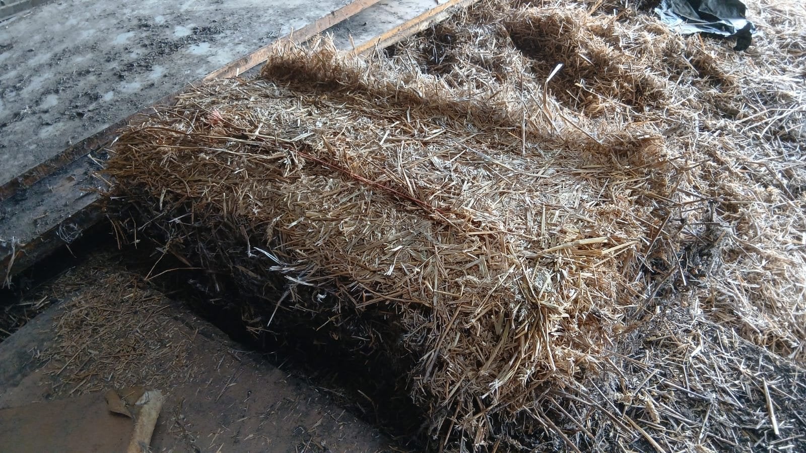 Kleine strobalen, ca. 15 kg/stuk - Ruim 500 balen beschikbaa, Ophalen