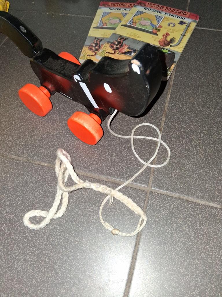 Takkie houten loophond en leesboekjes 1 euro per stuk, Ophalen of Verzenden, Nieuw, Jongen of Meisje