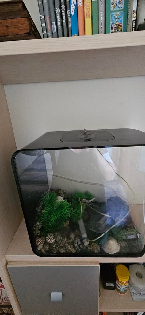 Biorb flow aquarium zwart 30 liter, Ophalen, Gebruikt, Overige merken, Leeg aquarium