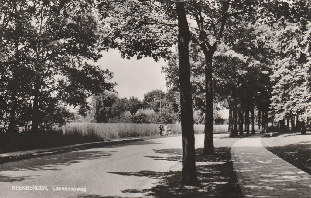 BEEKBERGEN Loenenseweg, Verzenden, 1960 tot 1980, Ongelopen, Gelderland