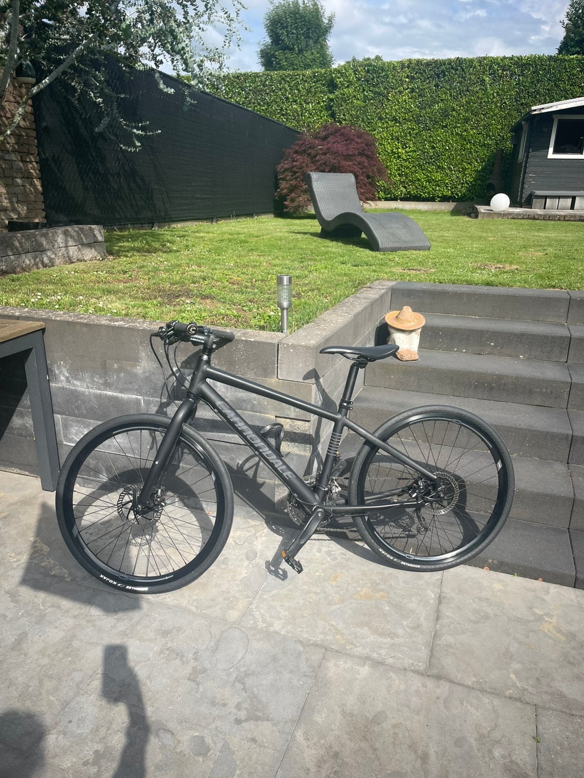 Cannondale Bad Boy – sportieve stadsfiets, Versnellingen, Zo goed als nieuw, Schijfrem, Ophalen