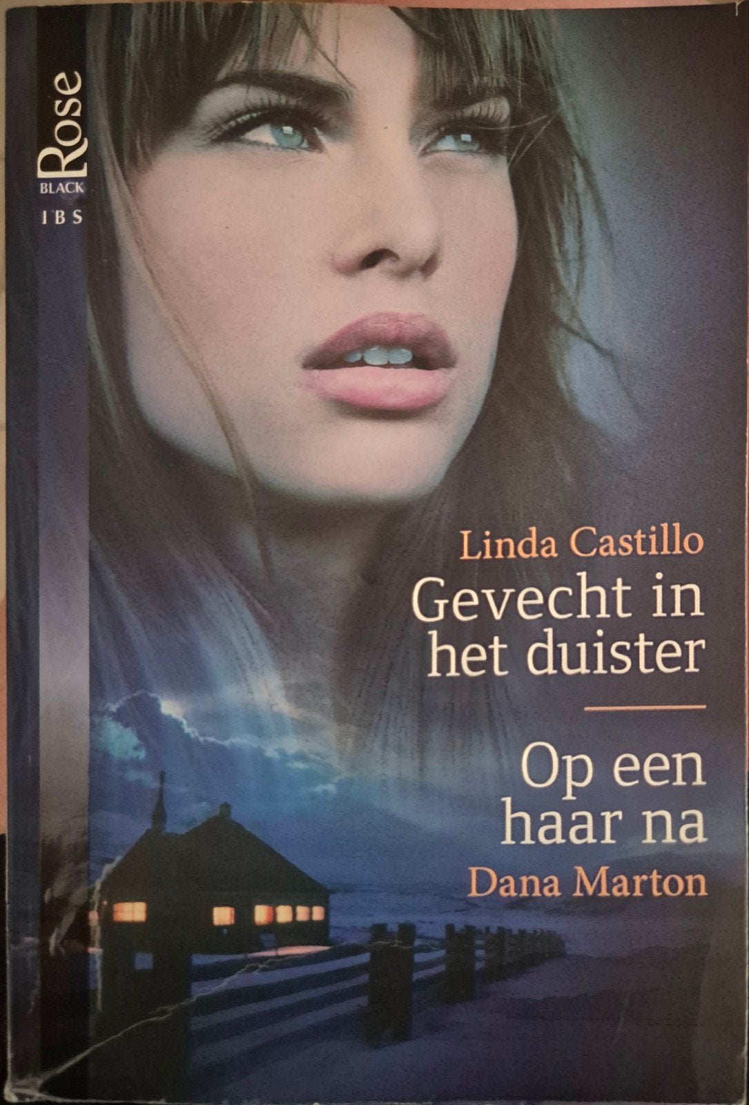 Linda Castillo - Gevecht in het duister & Op een haar na, Boeken, Ophalen, Zo goed als nieuw, Linda Castillo, Dana Marton, Nederland