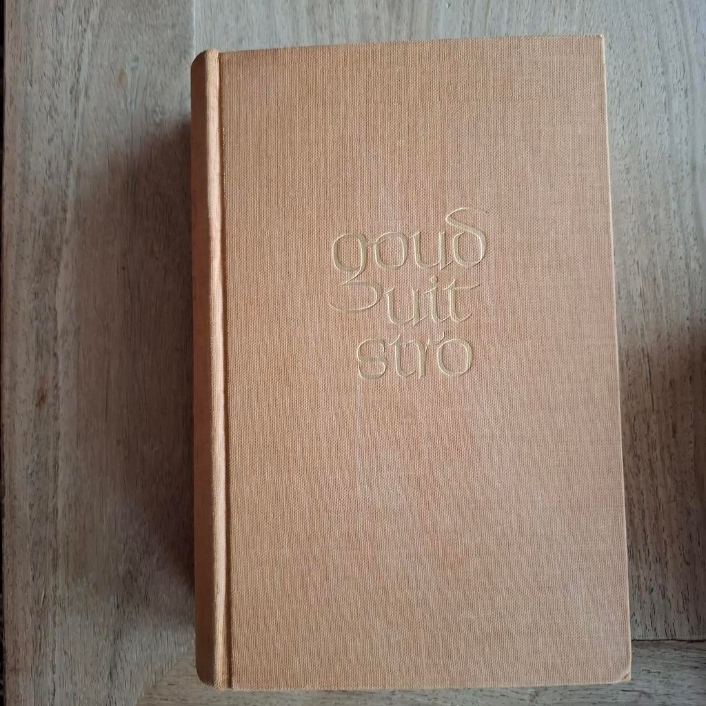 Goud uit stro  ina boudier bakker, Boeken, Ophalen of Verzenden, Gelezen, Overige onderwerpen, Ina boudier bakker