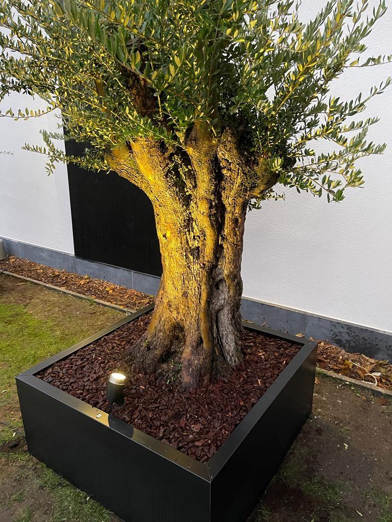 AKTIE 120X120X40 ZWART 9005, Tuin en Terras, 100 cm of meer, BREDA, Ophalen of Verzenden, Metaal