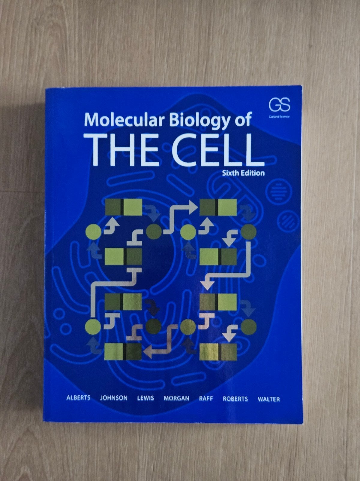 Molecular Biology of the Cell - 6e Editie, Boeken, Studieboeken en Cursussen, Ophalen, Alberts, Johnson, Lewis, Morgan, Raff, Roberts, Walter