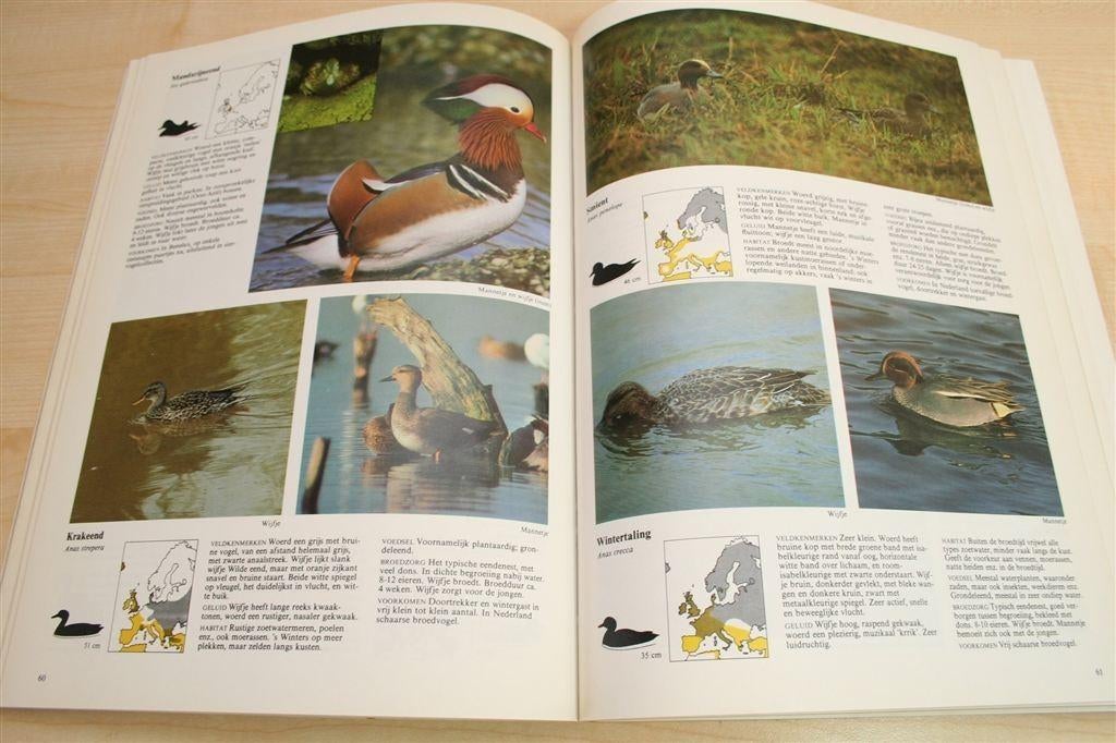 Vogels West-Europa — 650+ Kleurenfoto's [1980], Boeken, Ophalen of Verzenden, Gelezen, Vogels