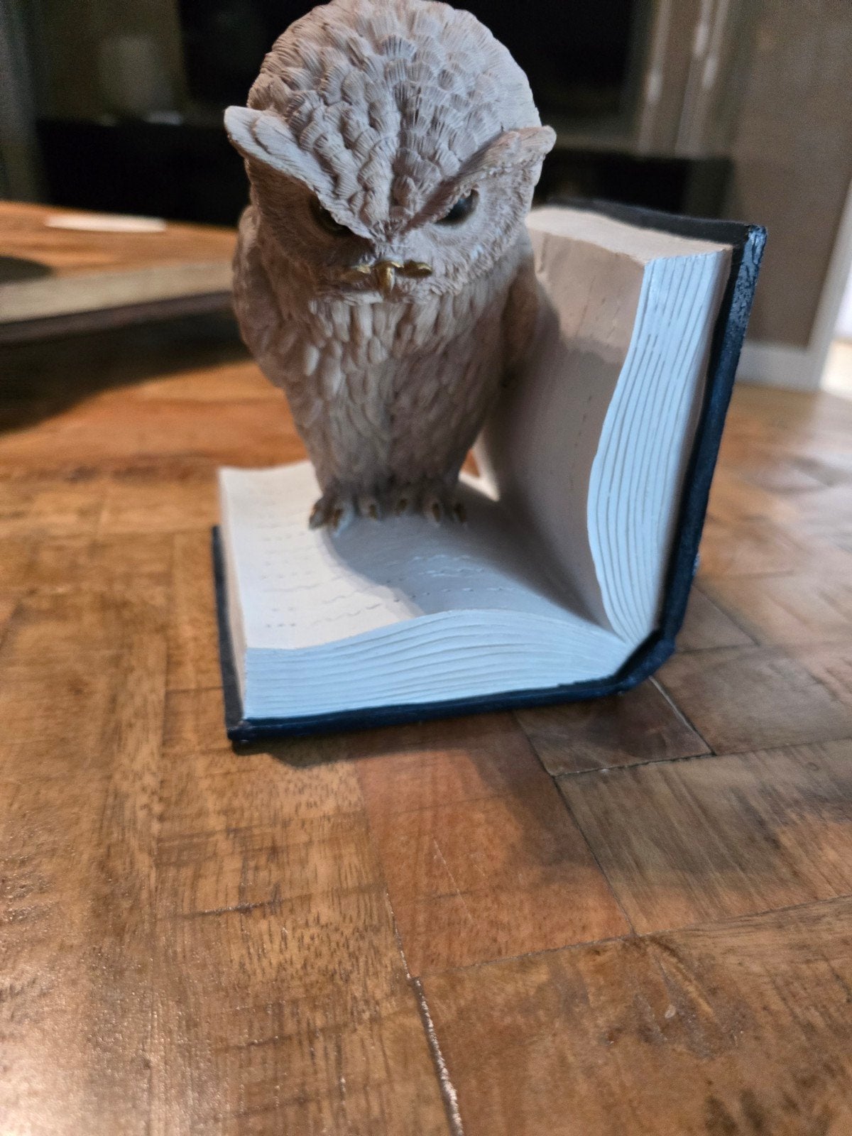Uilen boekensteun - Decoratieve uil op boek, Nieuw, Ophalen of Verzenden, Klassiek, Bruin