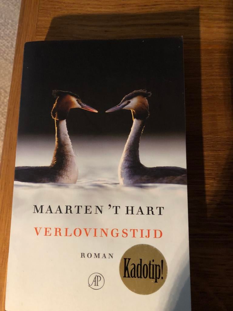 Maarten 't Hart - Verlovingstijd - Roman, Ophalen of Verzenden, Zo goed als nieuw