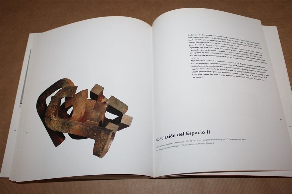 Experiment en ruimte. Picasso, González, Miró en Chillida., Ophalen of Verzenden, Gelezen