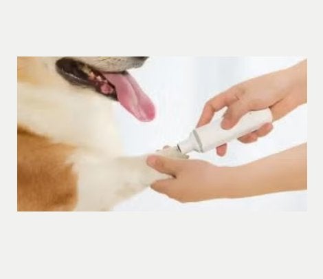 Professionele elektronische nagelschaar voor honden, Ophalen of Verzenden, Nieuw
