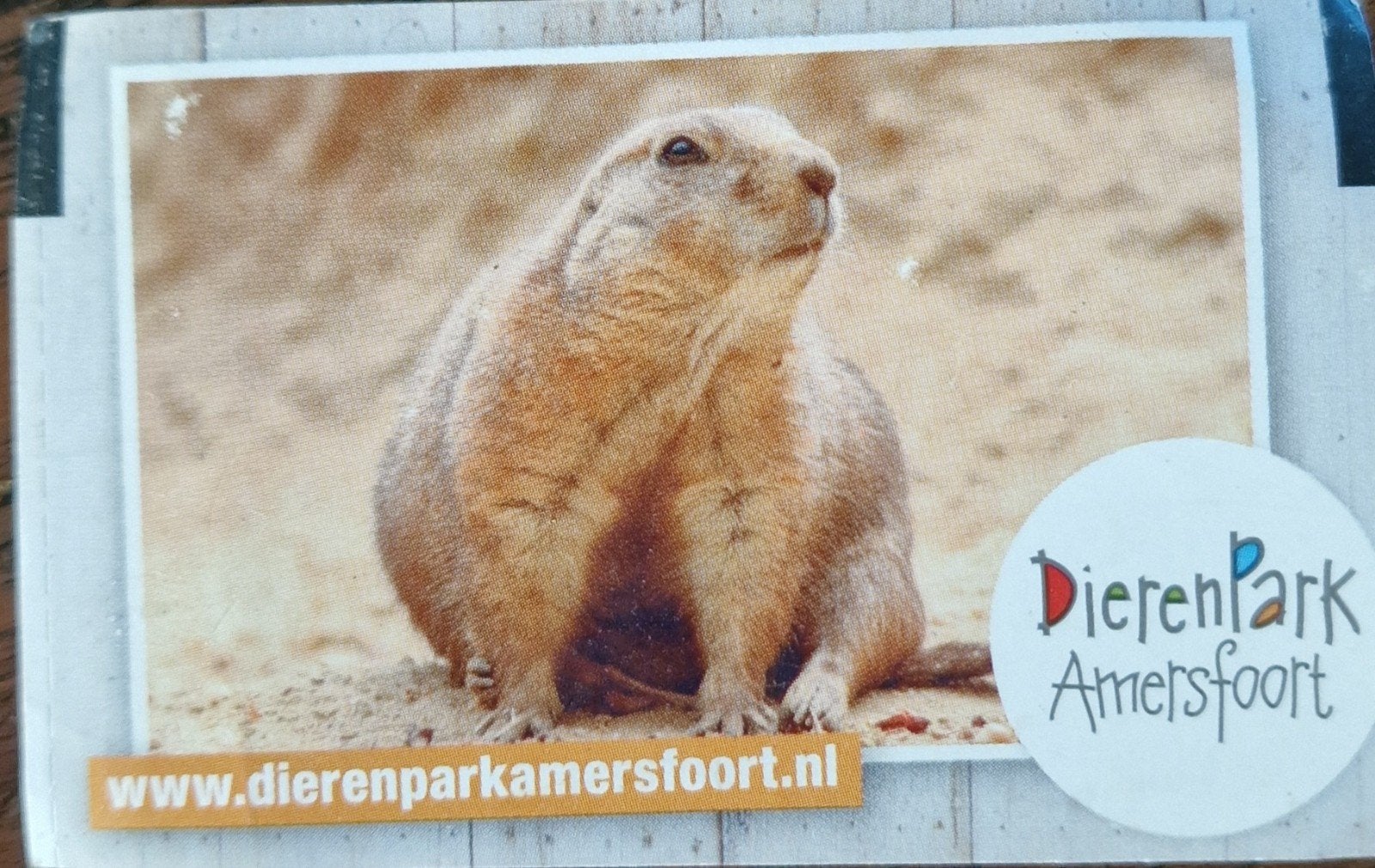 Dierenpark Amersfoort tegoedbon (betaalpas) €36, Eén persoon, Cadeaubon