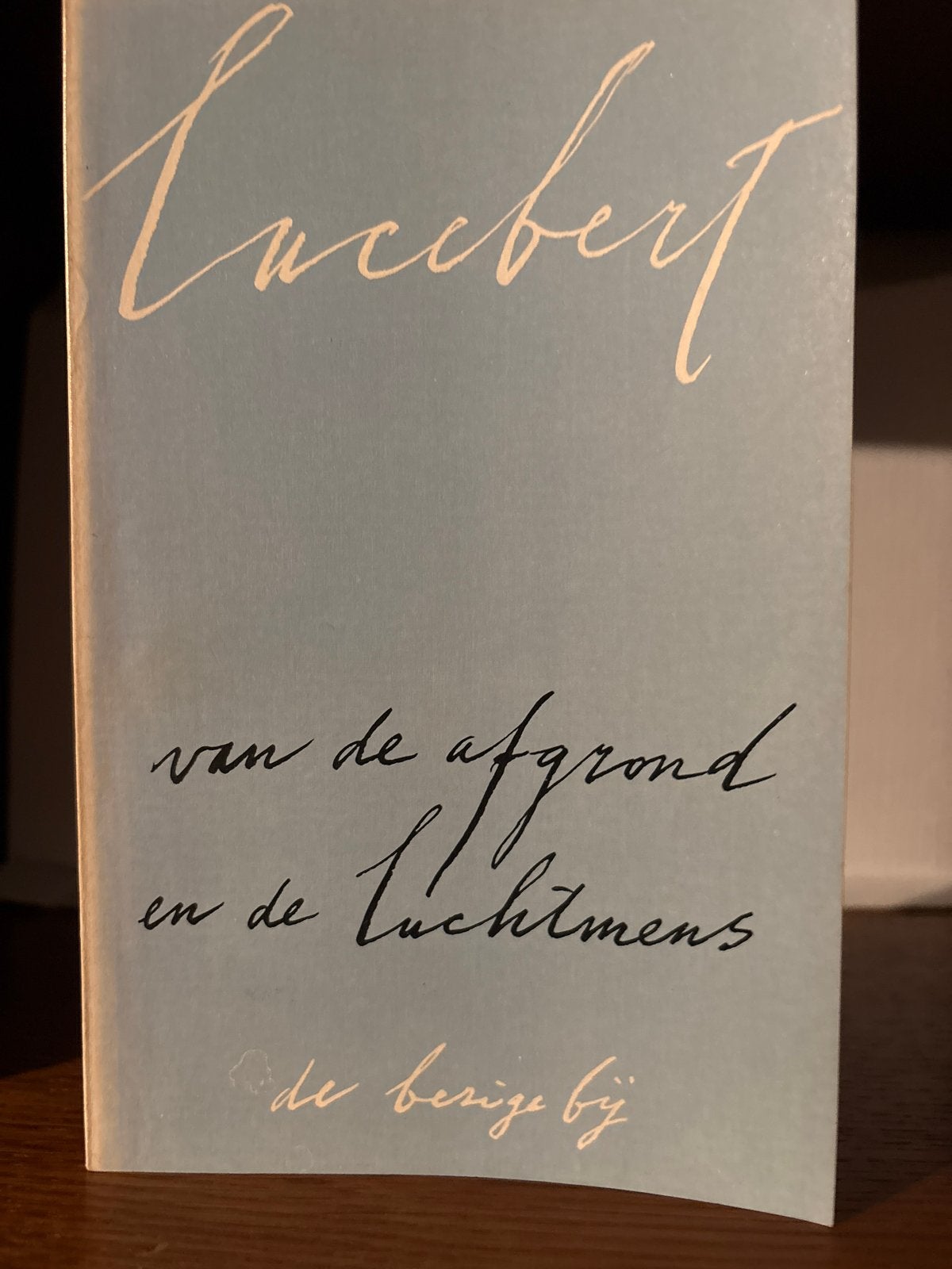 Lucebert - van de afgrond en de luchtmens (De Bezige Bij), Boeken, Ophalen of Verzenden, Gelezen, Nederland