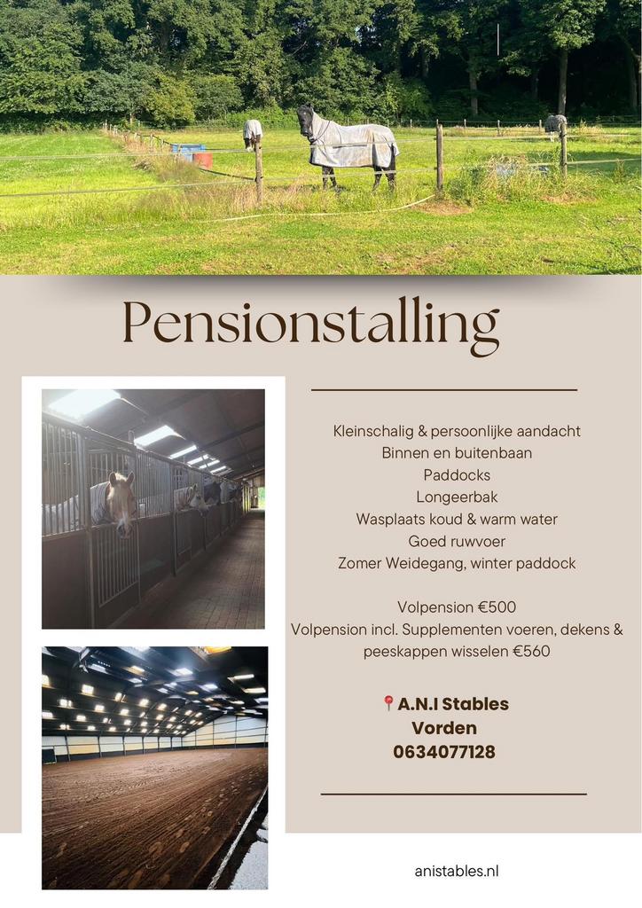 Pensionstalling Vorden, Dieren en Toebehoren, Stalling en Weidegang, Weidegang
