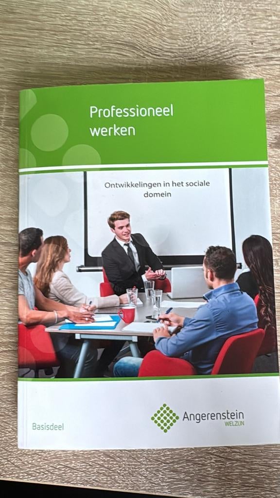 Angerenstein Professioneel Werken, Ophalen of Verzenden, Zo goed als nieuw, Overige niveaus