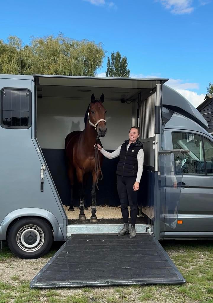 Paardentaxi - paardenwagen - vervoer paarden, Stalling of Weidegang