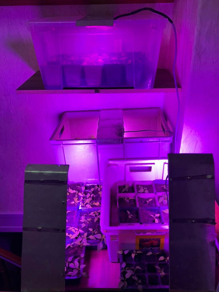 2 x Groeilamp kweeklamp, Tuin en Terras, Kweekspullen, Zo goed als nieuw, Kweeklamp, Ophalen of Verzenden