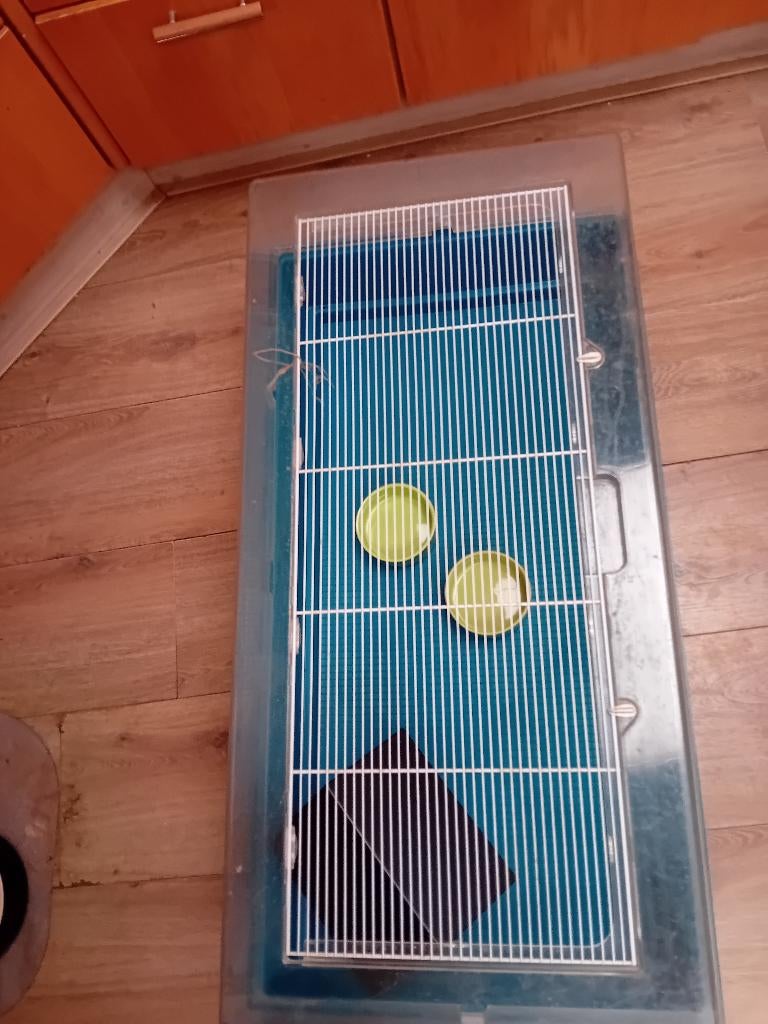 Cavia kooi, Kooi, Gebruikt, Konijn, 75 tot 110 cm