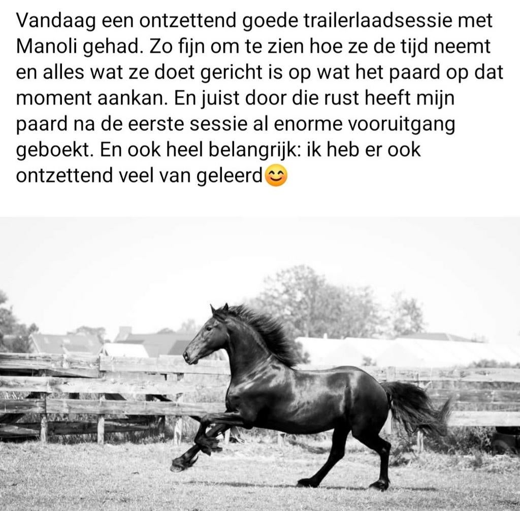 Gedragstraining, trailerladen, zadelmak, interne training, Gedragstraining