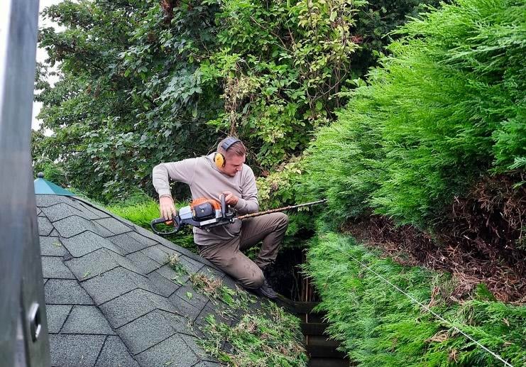 Hovenier beschikbaar - Groenservice Parkstad, Diensten en Vakmensen, Tuinmannen en Stratenmakers, Tuinonderhoud of Snoeiwerk