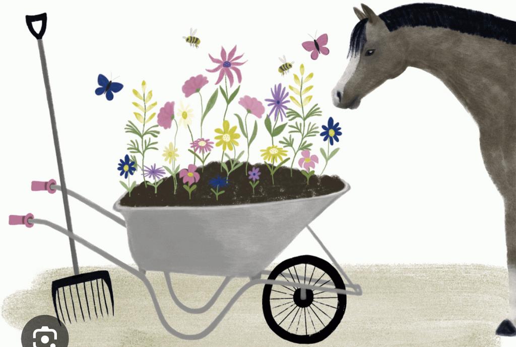 Gratis paarden mest vrij van stro (ophalen in Swalmen), Ophalen, Mest