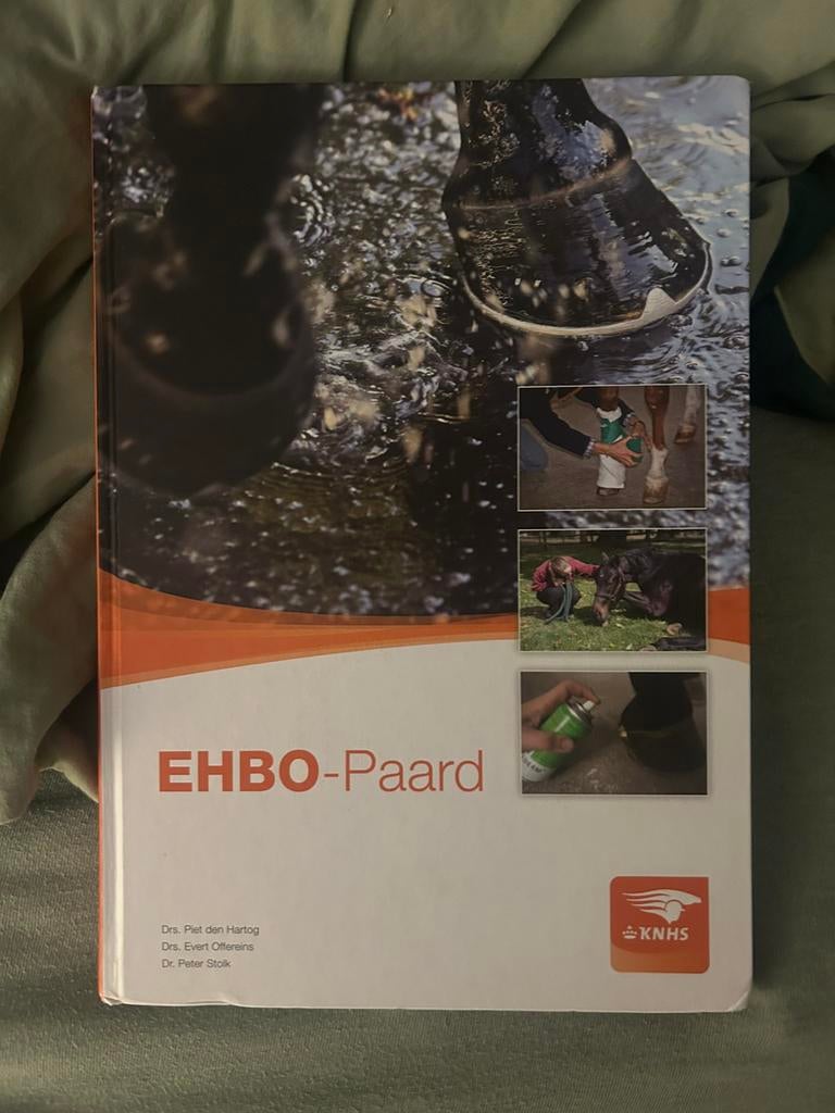 EHBO-paard, Boeken, Ophalen of Verzenden, Zo goed als nieuw, Overige niveaus