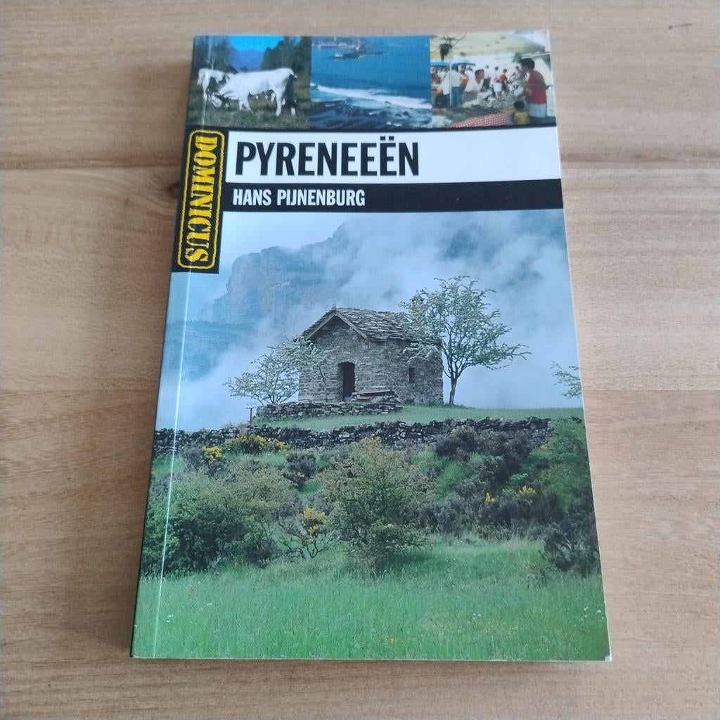Hans Pijnenburg - Pyreneeen, Boeken, Reisgidsen, Zo goed als nieuw, Reisgids of -boek, Europa, Capitool, Ophalen of Verzenden