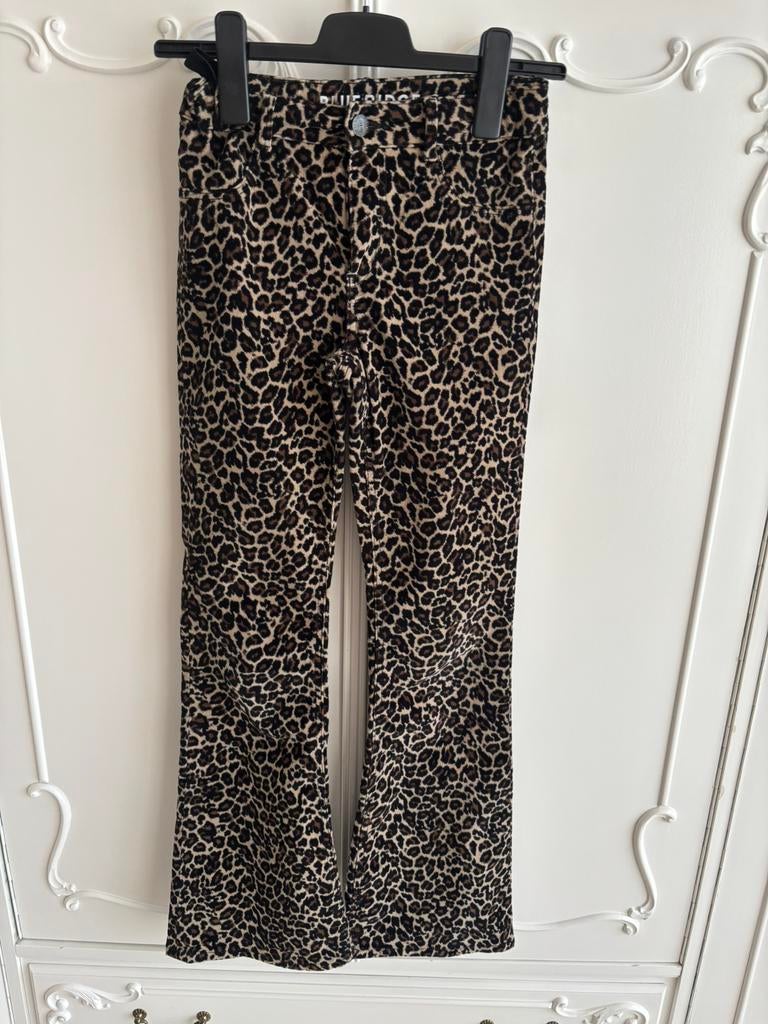 Nieuw tijgerprint flair broek merk WE maat 164, Ophalen of Verzenden, Nieuw, Meisje, Broek