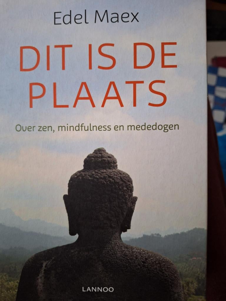 Edel Maex Dit is de plaats
ZGAN, Ophalen of Verzenden, Zo goed als nieuw, Spiritualiteit algemeen, Overige typen