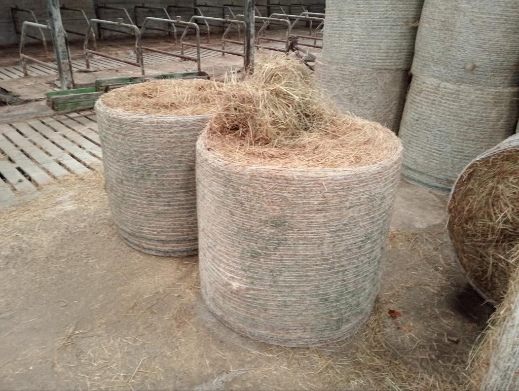 Midi balen hooi, Dieren en Toebehoren, Dierenvoeding, Ophalen of Verzenden, Vee