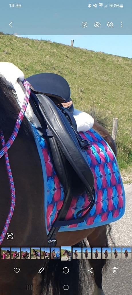 Uniek dressuurzadel en nog veel meer!!! In prijs verlaagd!!, Dieren en Toebehoren, Ophalen of Verzenden, Zo goed als nieuw, Dressuur