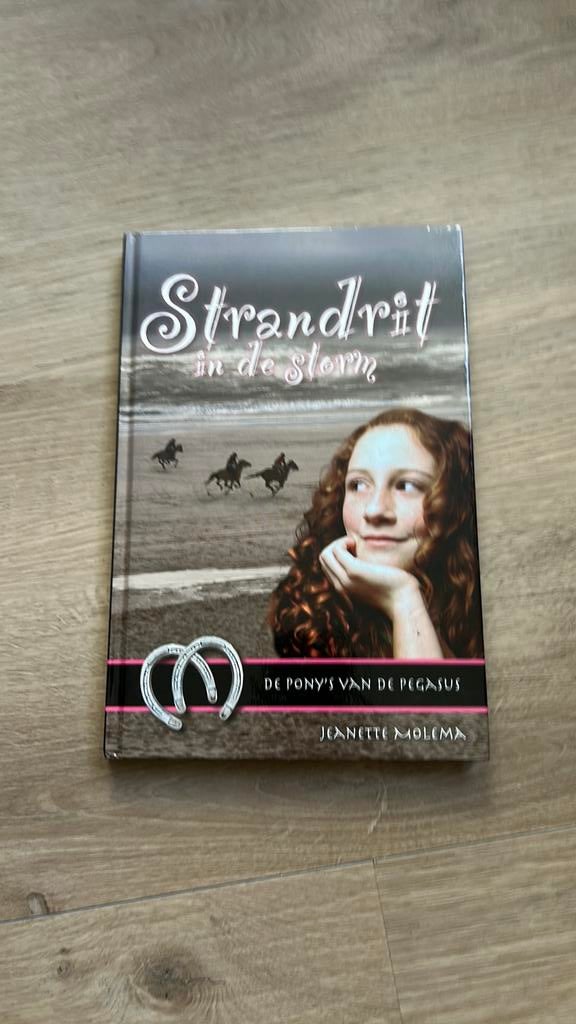 Jeanette Molema - Strandrit in de storm, Ophalen of Verzenden, Zo goed als nieuw, Jeanette Molema