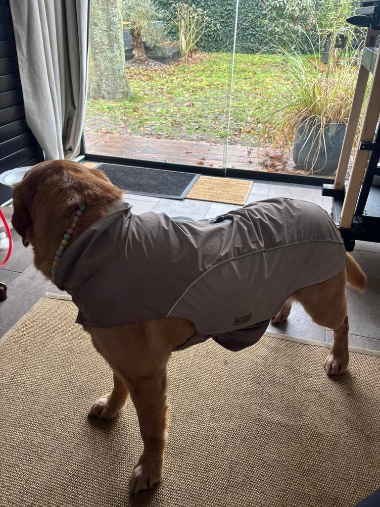 Honden regenjas, Dieren en Toebehoren, Ophalen of Verzenden, Zo goed als nieuw