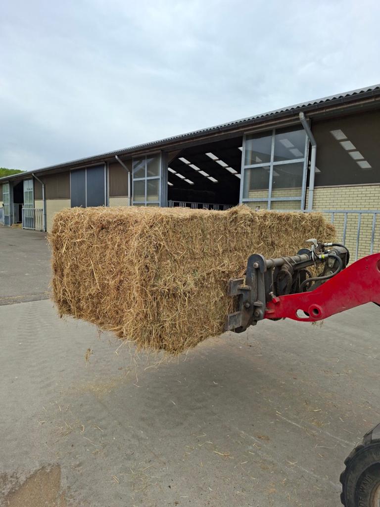 Grote Hooi pakken te koop, Ophalen of Verzenden