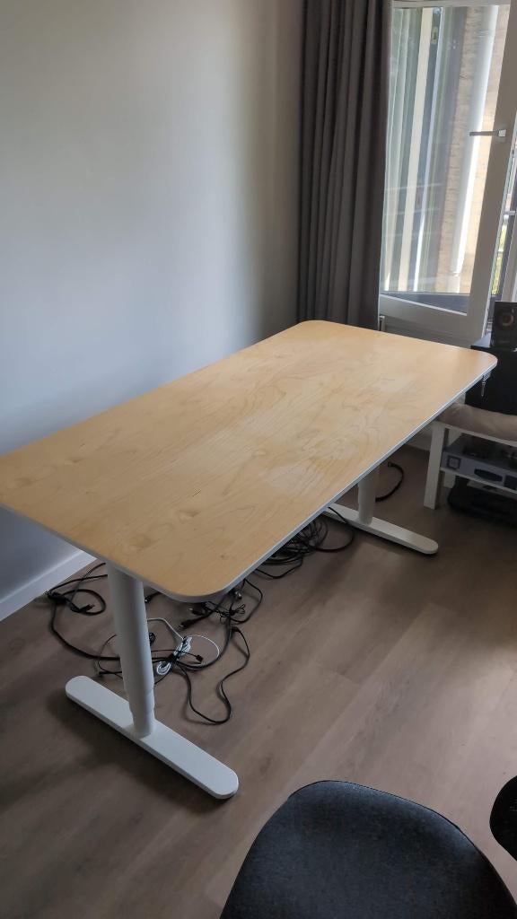 IKEA BEKANT zit/sta-bureau, wit onderstel met eikenhout blad, Ophalen, In hoogte verstelbaar, Gebruikt