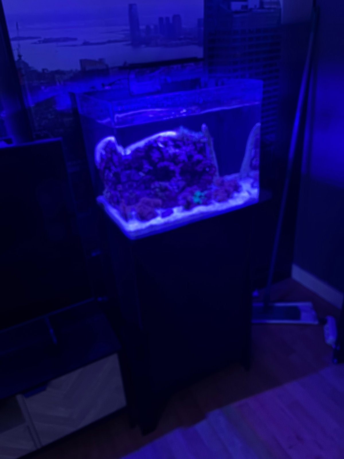 Mooie Blue marine reef 90 aquarium inclusief kast zwart, Dieren en Toebehoren, Vissen | Aquaria en Toebehoren, Ophalen, Zo goed als nieuw