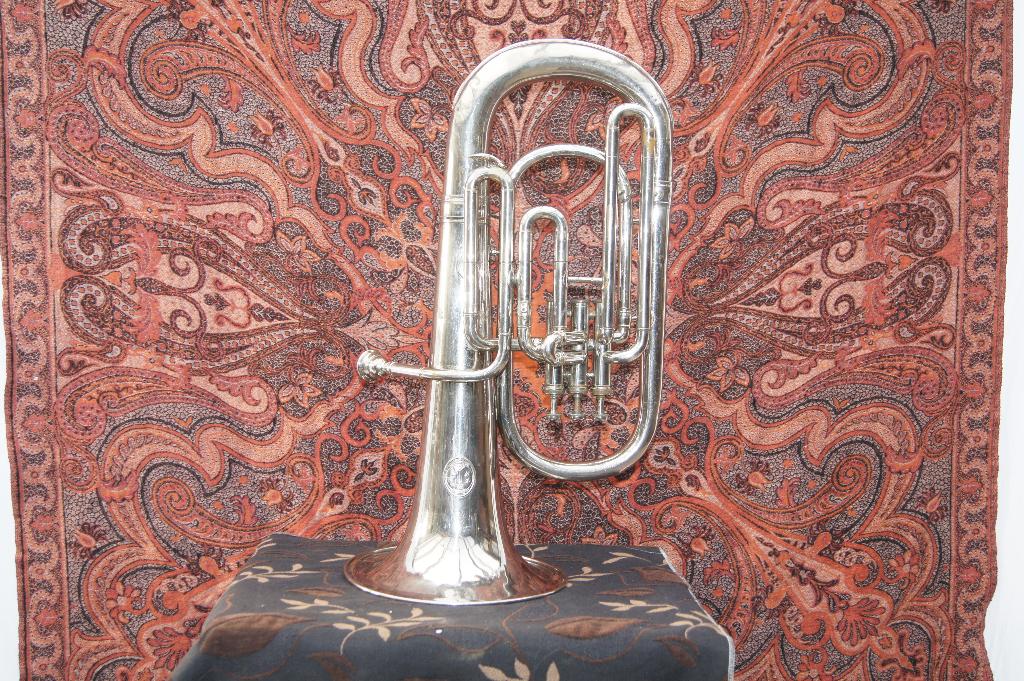 Tuba met koffer, Ophalen of Verzenden, Gebruikt, Euphonium of Tenortuba, Met koffer of draagtas