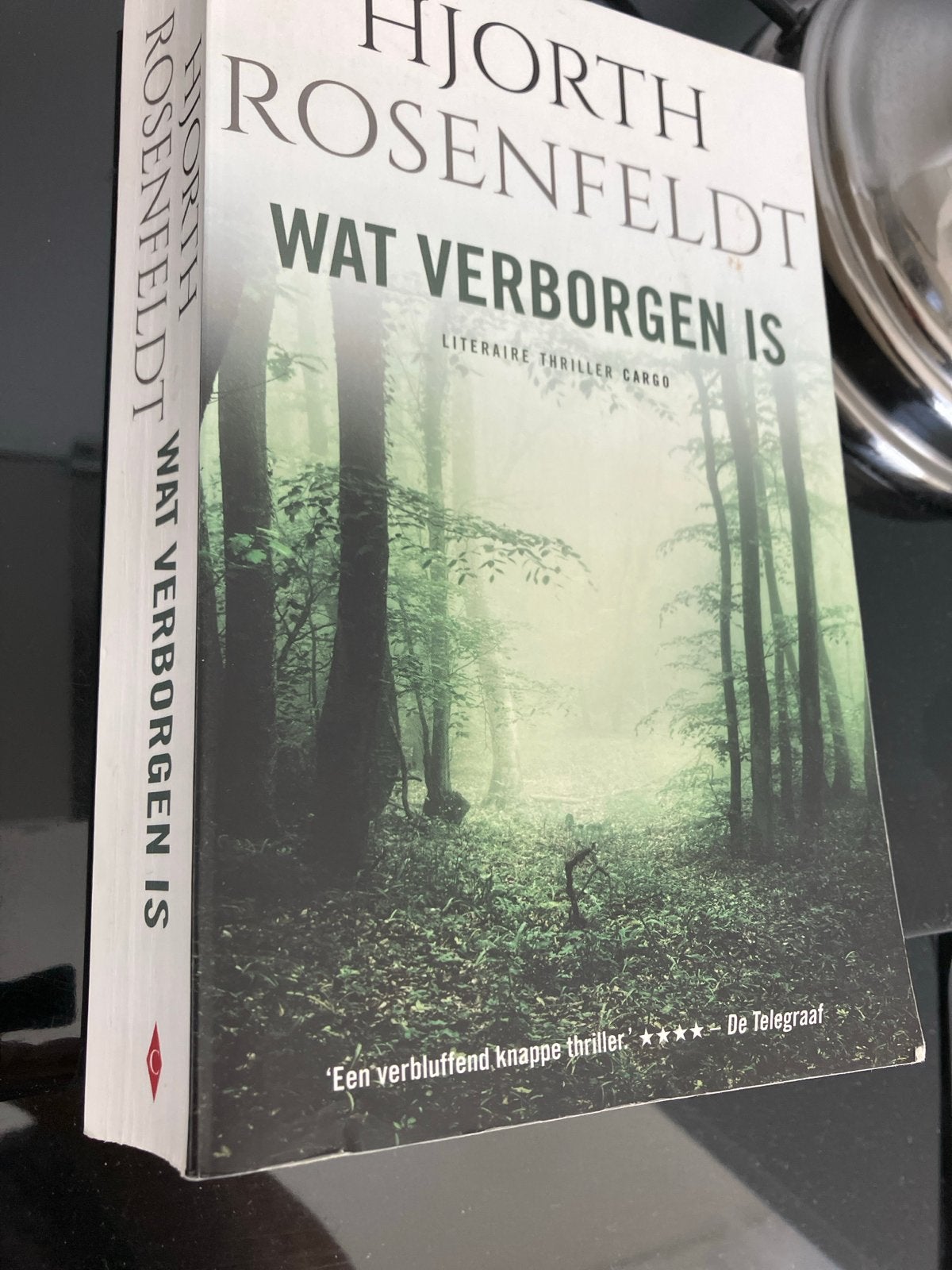 Hjorth Rosenfeldt - Wat Verborgen Is (Literaire Thriller), Ophalen of Verzenden, Gelezen, Scandinavië